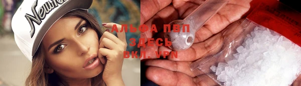 сатива Арсеньев