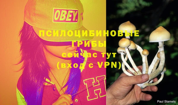 a pvp Армянск