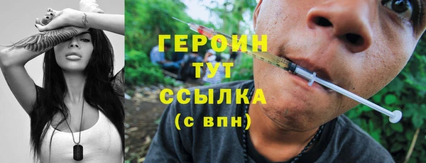 сатива Арсеньев