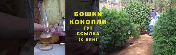 PSILOCYBIN Снежногорск